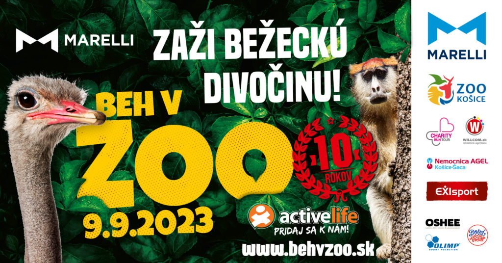 marelli beh v zoo 2023