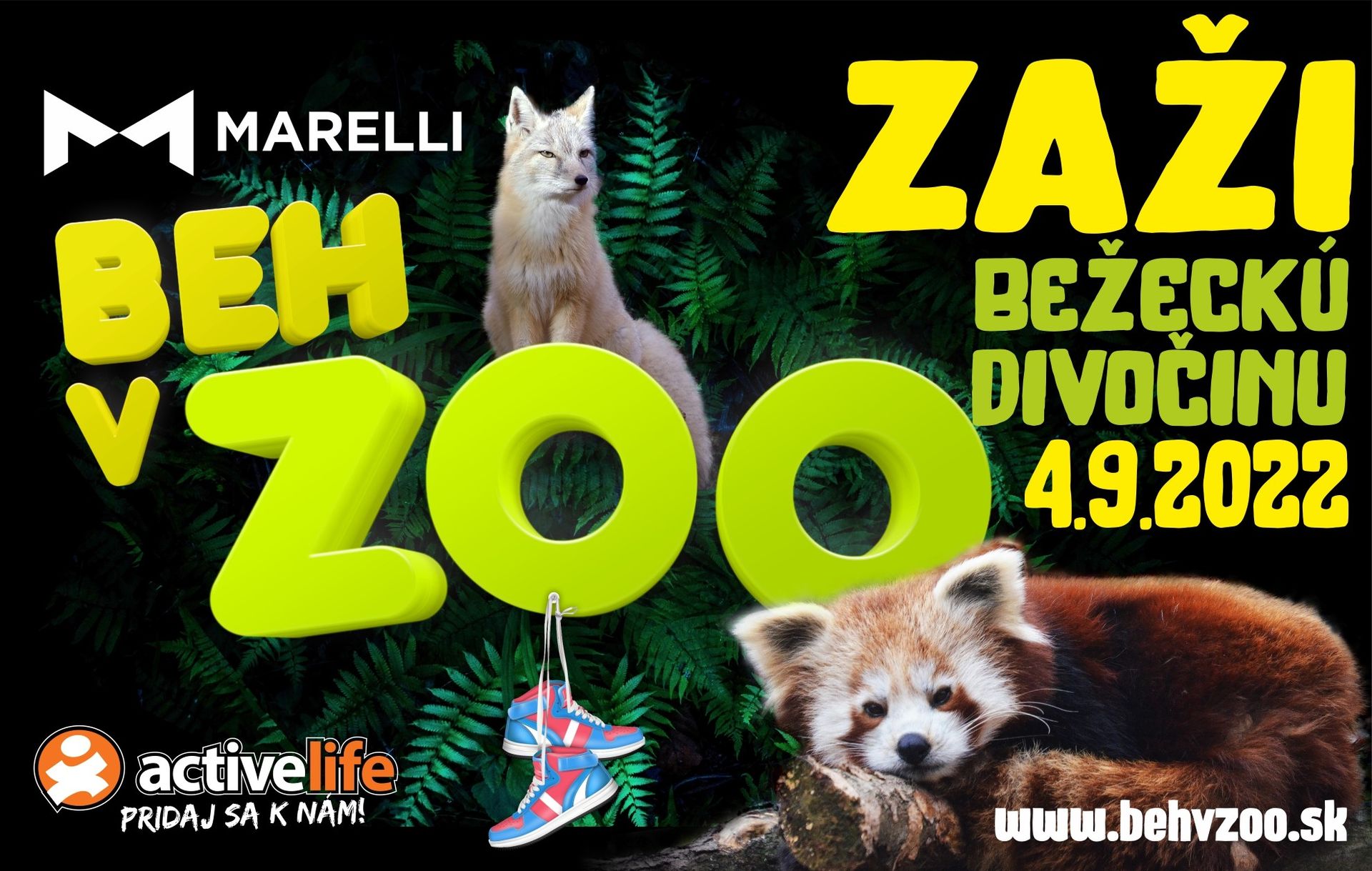 4. septembra pobežíme CHARITY RUN TOUR – Marelli BEH V ZOO 2022